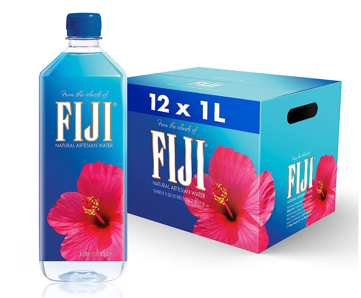 Fiji Water - 12 / 1 L btl