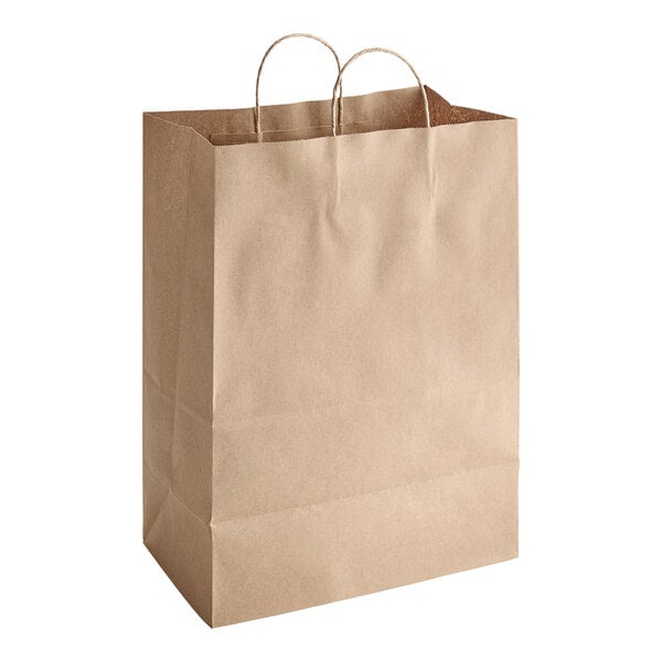 Choice Shopping Bag with Handles 13" x 7" x 17" - 250/Case - 1 / 1 / 250 ct ea